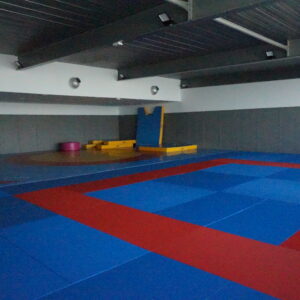Dojo